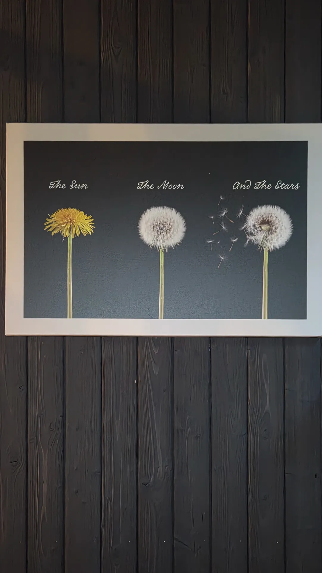 Gallery image 14